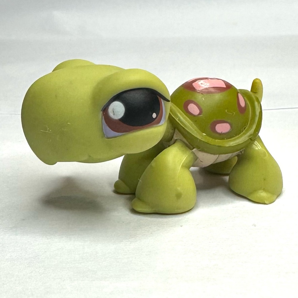 Hasbro Littlest Pet Shop (LPS) RETIRED Turtle #007, Bobble Head